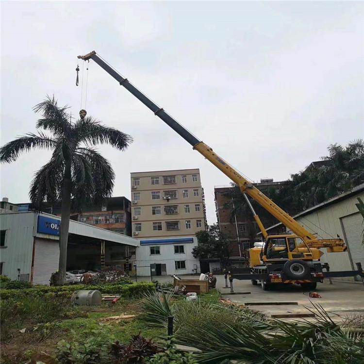 玉州吊车吊大树几种方法